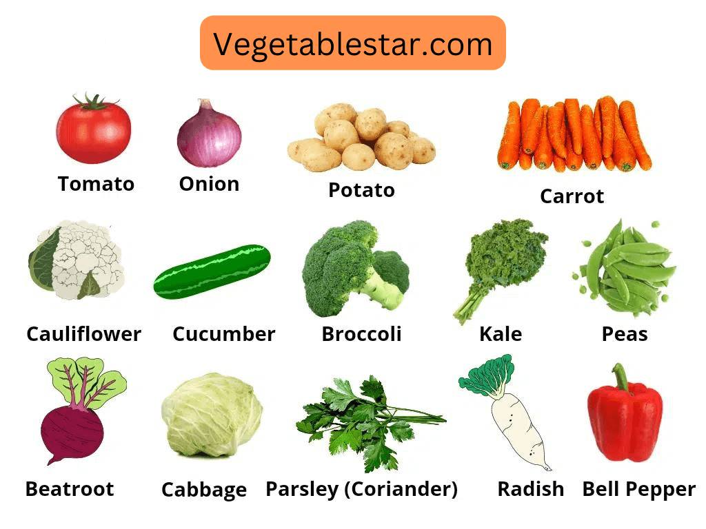 list vegetables name in english