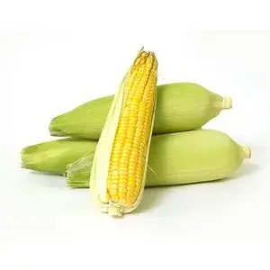 40048686 2 fresho sweet corn organically grown