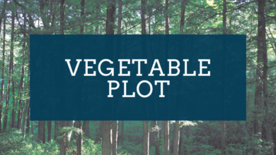 Why is the advantage vegetable plot?