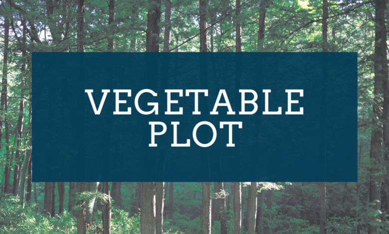 Why is the advantage vegetable plot?