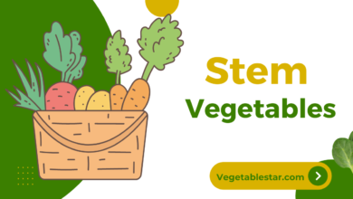 example for stem vegetables
