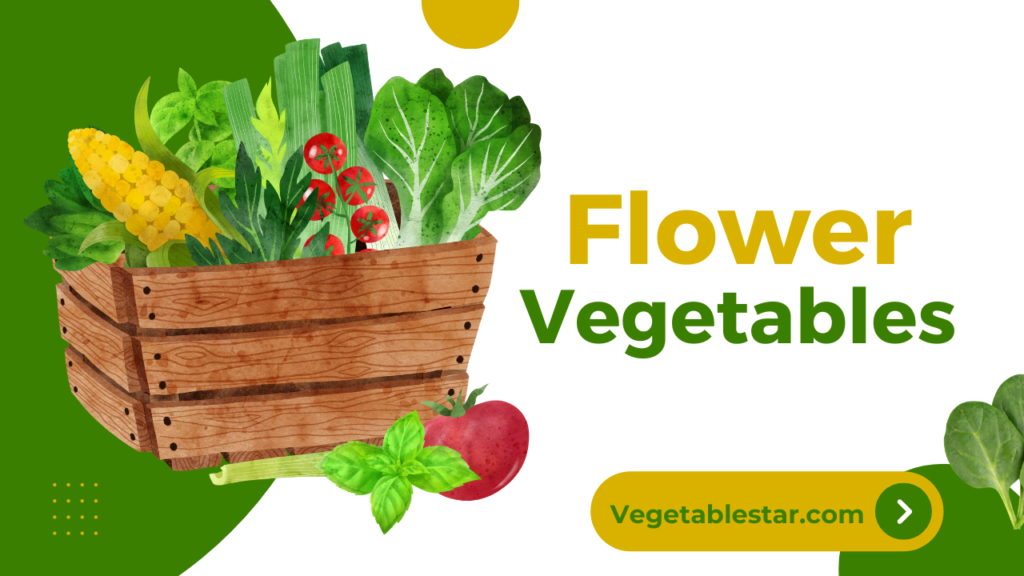 Flower Vegetables – List of 10+ Flower Vegetables in English