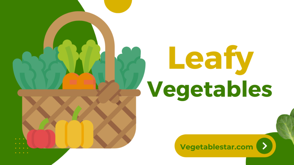 leafy vegetables – List of 10+ Leafy vegetables in English
