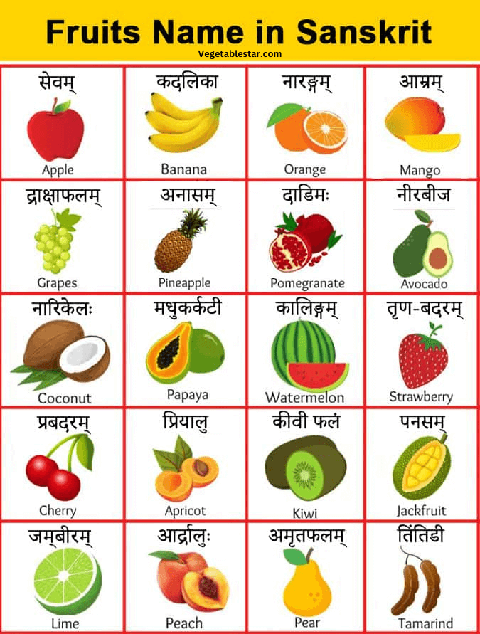 sabjiyon ke naam sanskrit mein | 5 vegetables name in sanskrit