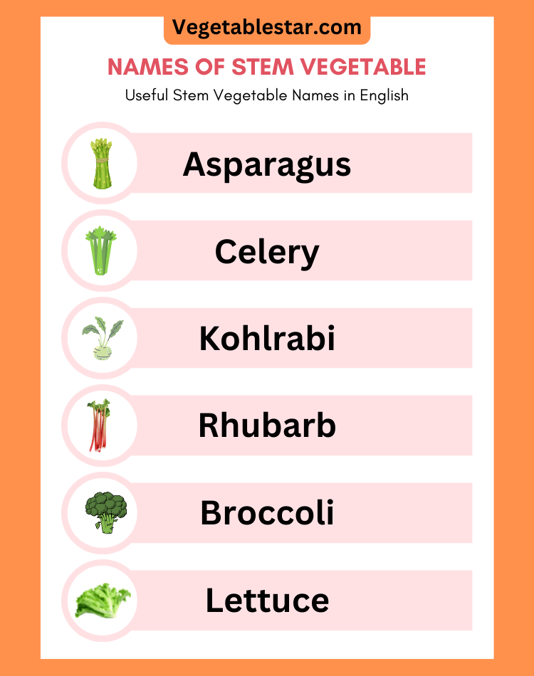 stem vegetables list