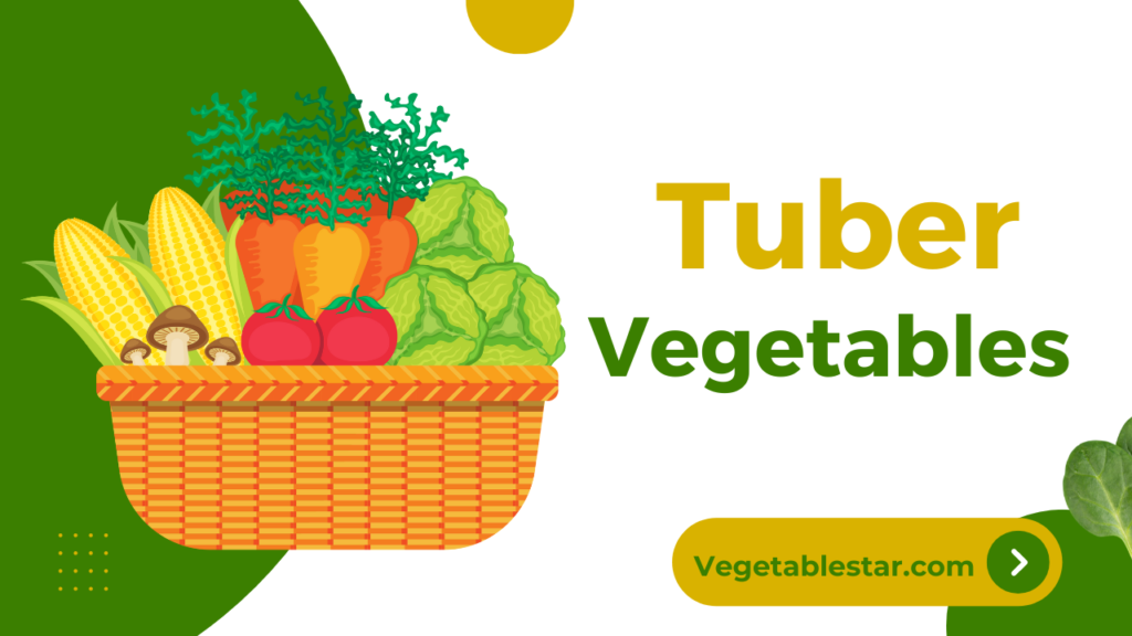Tuber Vegetable – Tuber Vegetables Names with Pictures