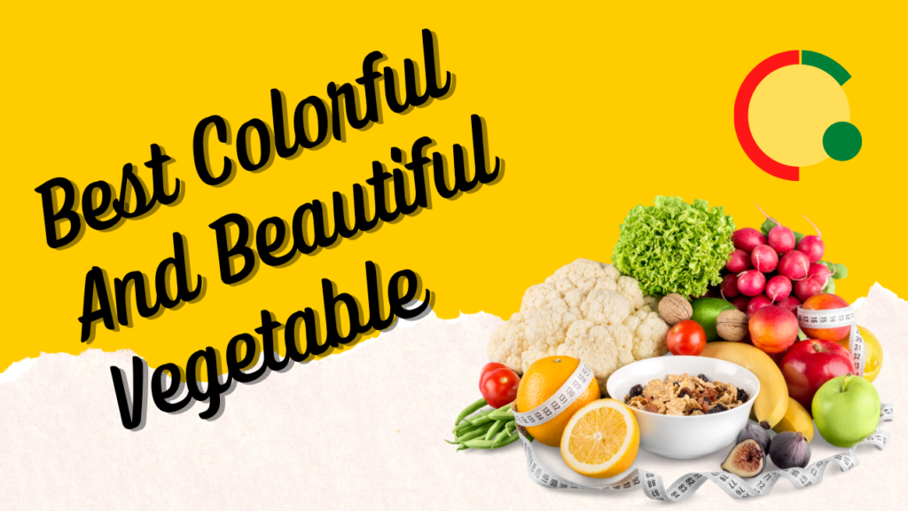 Best Colorful And Beautiful Vegetable