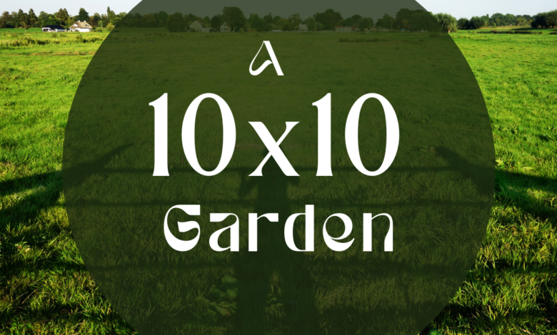 Can A 10x10 Garden Produce?