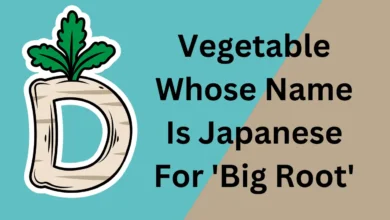Japanese for big root