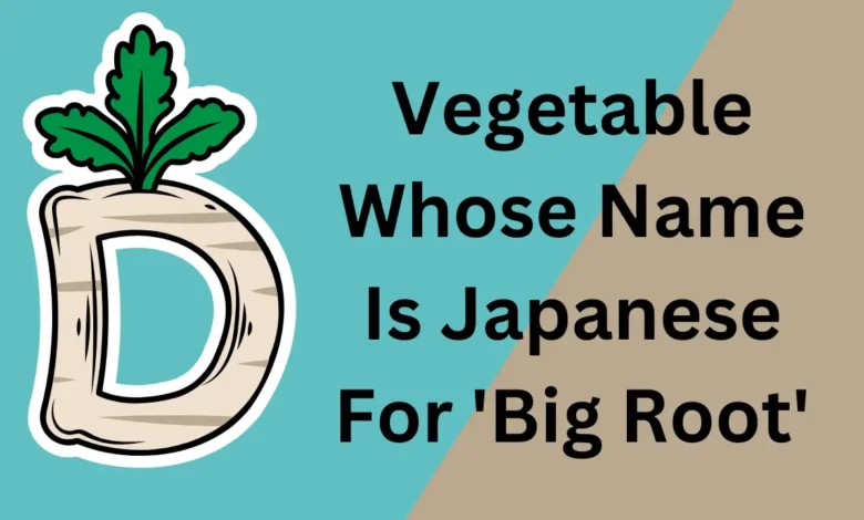 Japanese for big root
