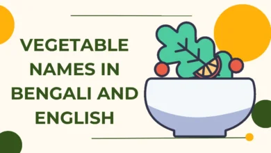 vegetable meaning in bengali
