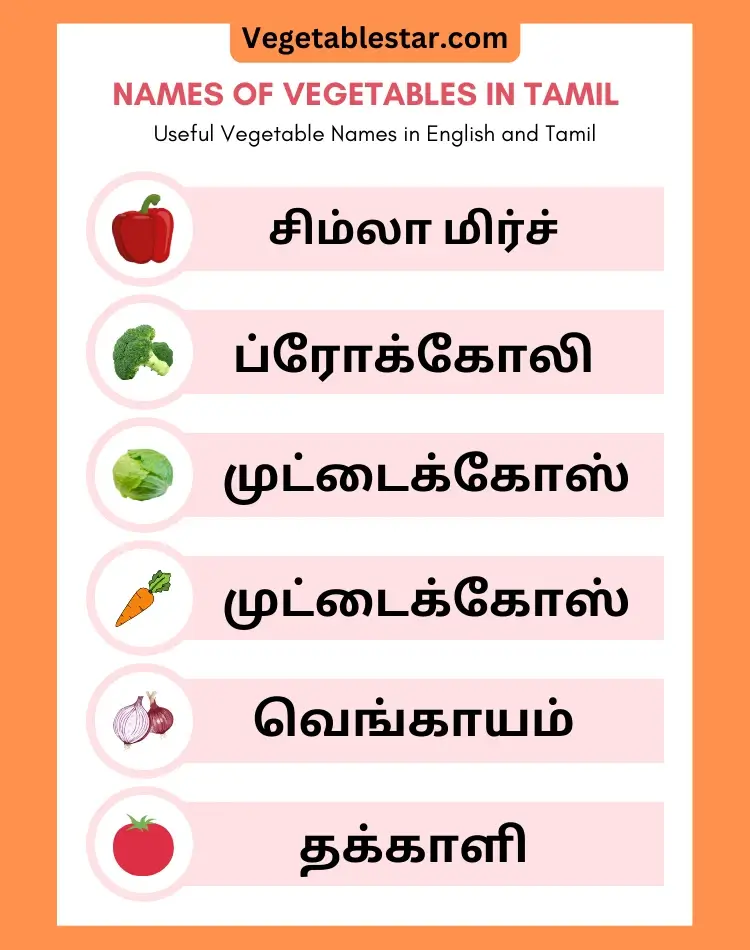 tamil vegetable names in english