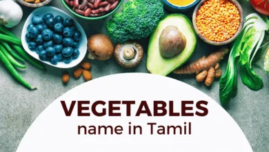 all vegetables name in tamil and english