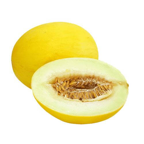 Galia melon