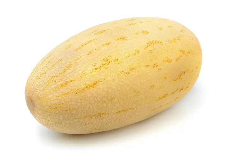 Persian melon